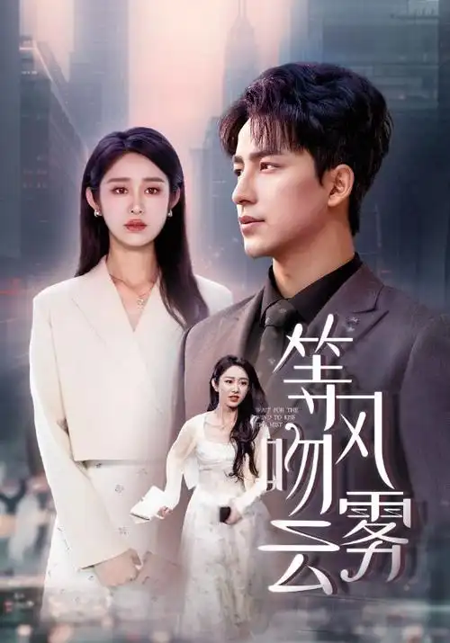 热门影视悬疑剧雾港海报